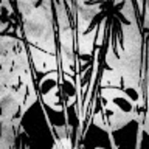 Meet your Posher, Dalton